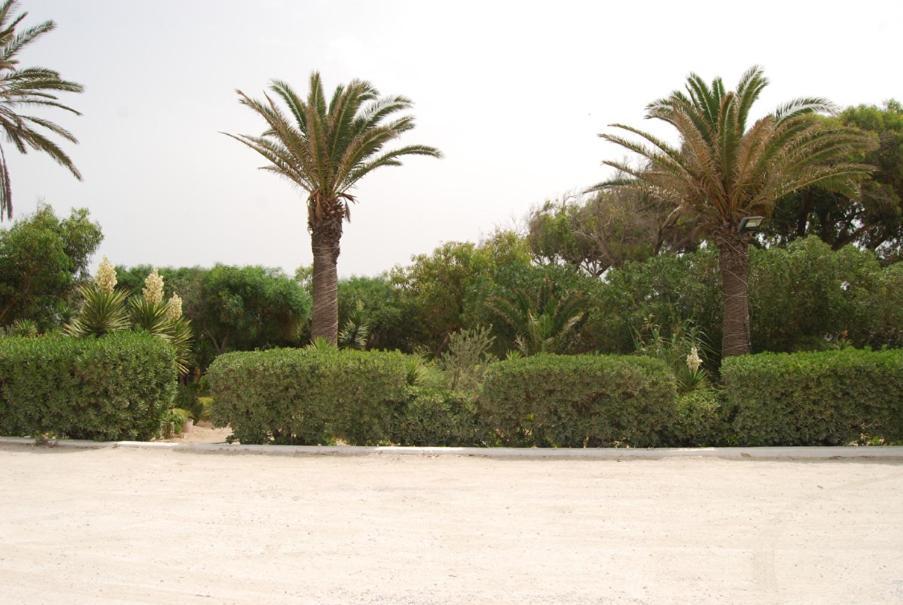 Hotel El Andalous Soliman Exterior foto