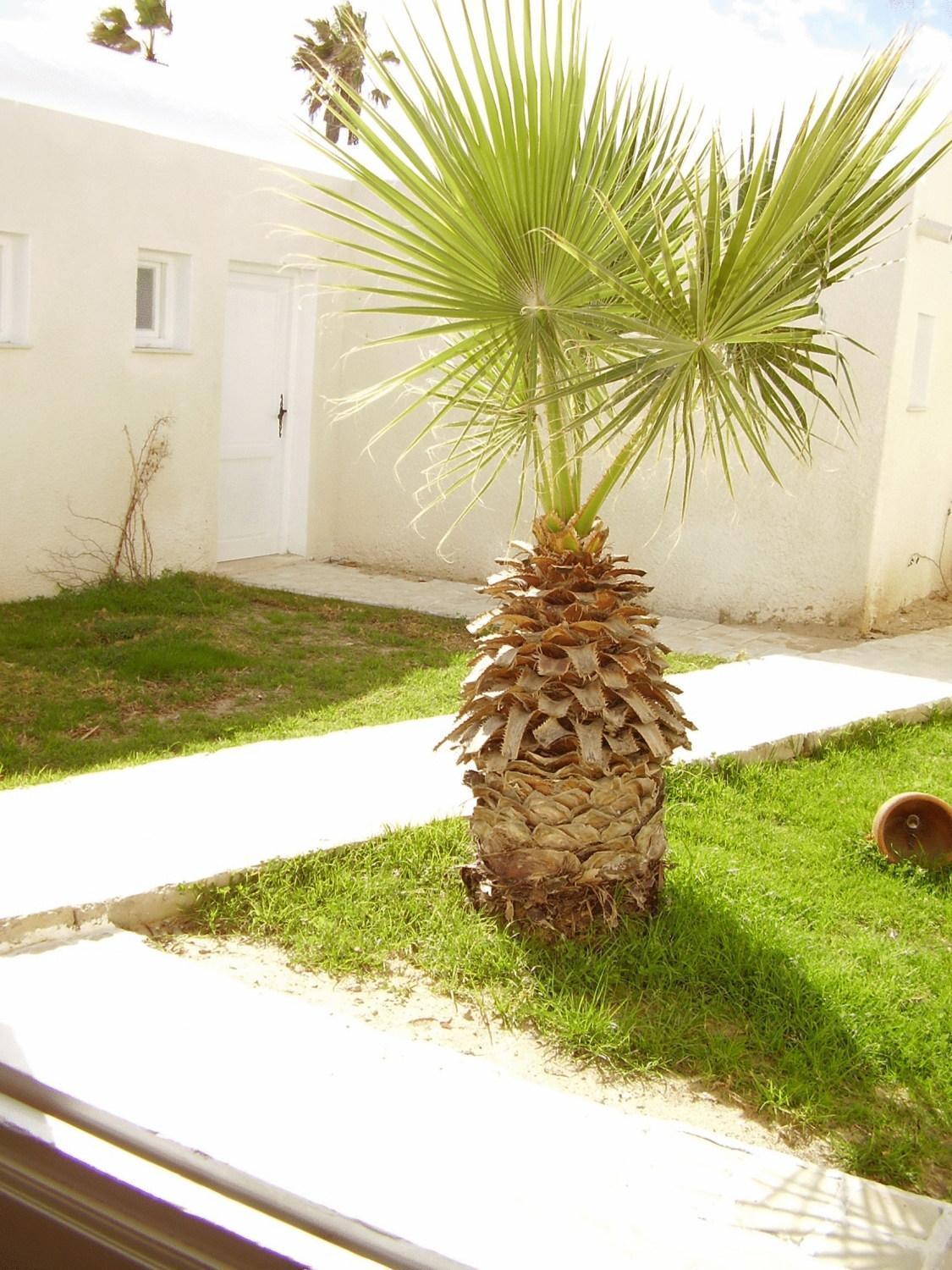 Hotel El Andalous Soliman Exterior foto